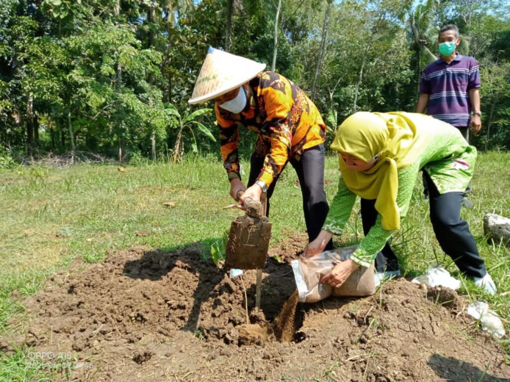 Penanaman Bibit Pohon Kelengkeng oleh Gapoktan Sumber Makmur