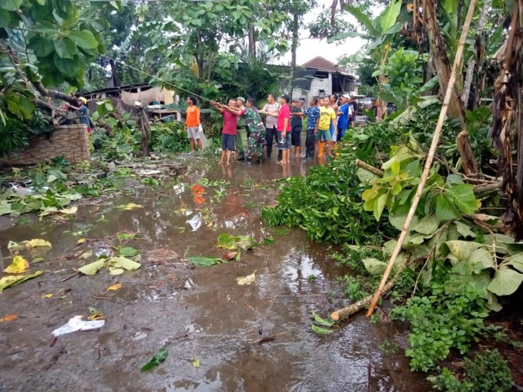 PENANGANAN POHON TUMBANG DI PADUKUHAN GUNUNG GEBANG