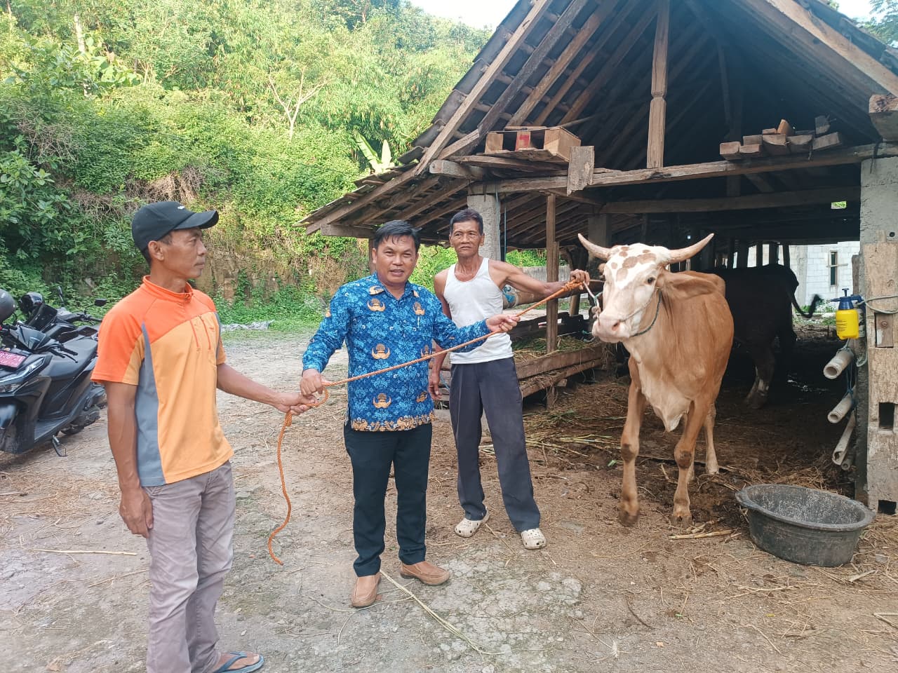 LURAH SERAHKAN BANTUAN SAPI