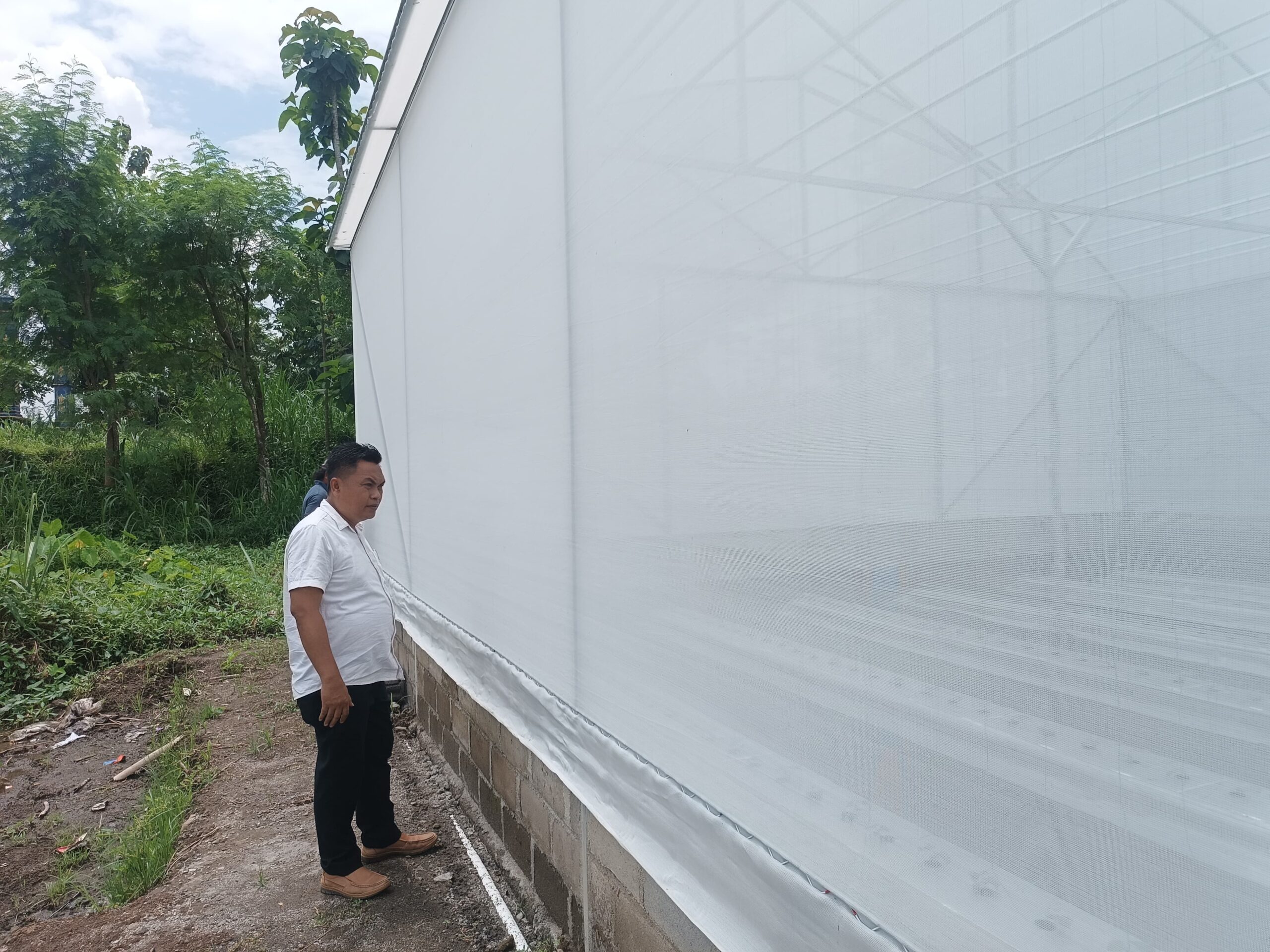 LURAH PANTAU PERTANIAN MELON DI PADUKUHAN NGEBURAN