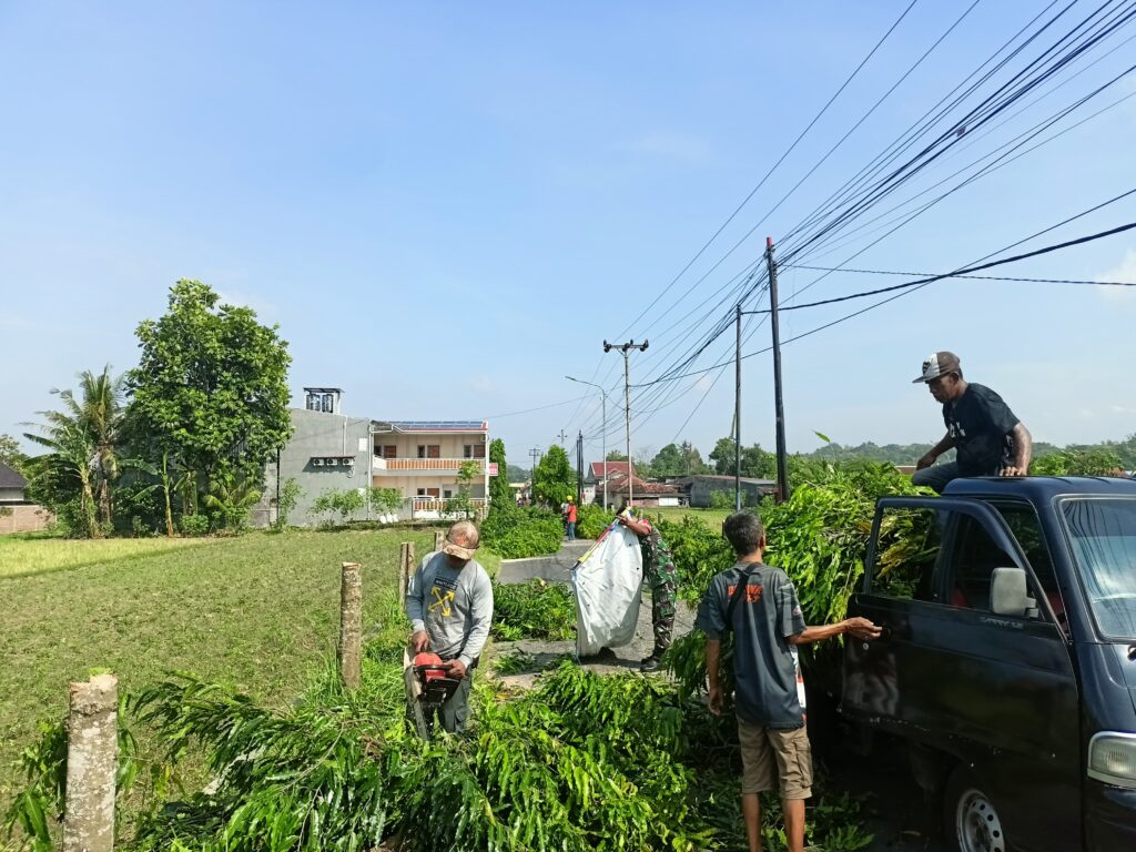 RABAS – RABAS PENGURANGAN RESIKO POHON TUMBANG